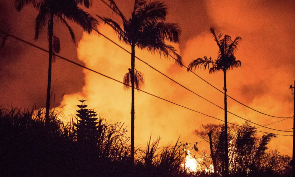 Voraz Serie De Incendios Forestales En Hawaii Deja 36 Muertos Vivir